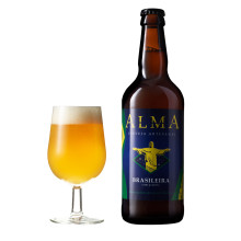 Alma Brasileira (Fruit beer) - 6un.
